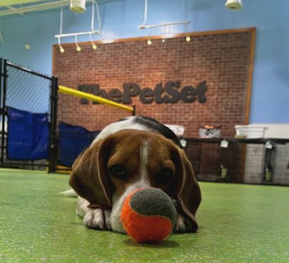 Dog day care in Atlanta Georgia The Pet Set Grooming Daycare Board