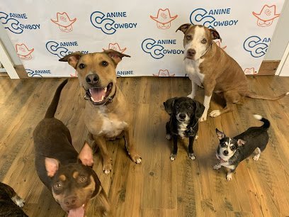 Dog day care in Aubrey Texas Canine Cowboy 1