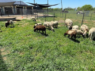 Dog day care in Aubrey Texas Safari Dogs Ranch 1