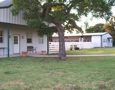 Dog day care in Aubrey Texas The Big Dog House 1