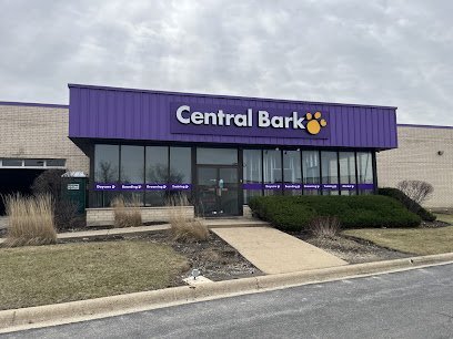 Dog day care in Aurora Illinois Central Bark Aurora Fox Valley 1