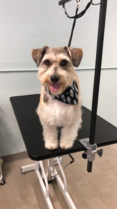 Dog day care in Aurora Nebraska Hairy Situations Dog Spa Boarding Grooming SelfWash 1 1