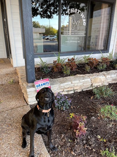 Dog day care in Austin Texas All That Wag 1