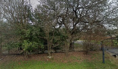 Dog day care in Austin Texas Apache Shores Dog Park 1