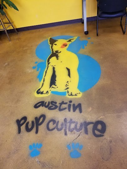 Dog day care in Austin Texas Austin Pup Culture 1