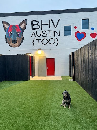 Dog day care in Austin Texas BHV Austin Too 1