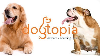 Dog day care in Austin Texas Dogtopia of North Austin 1