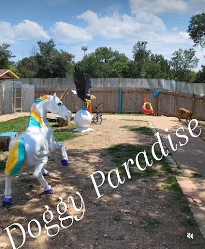 Dog day care in Austin Texas Foxy Roxys Doggy Day Out 1