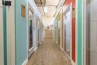 Dog day care in Austin Texas My Love Fur Paws Pet Resort 1