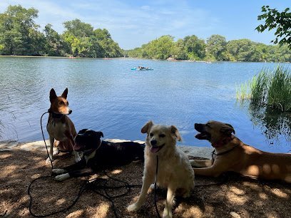 Dog day care in Austin Texas Pack Vibes ATX 1