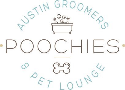 Dog day care in Austin Texas Poochies Austin Groomers and Pet Lounge 1
