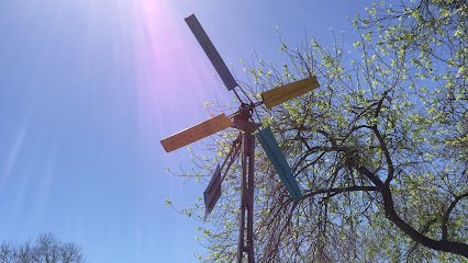 Dog day care in Austin Texas SkyBlue Kennels 1