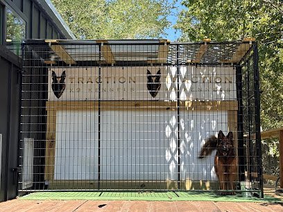 Dog day care in Austin Texas Traction K9 Kennels 1