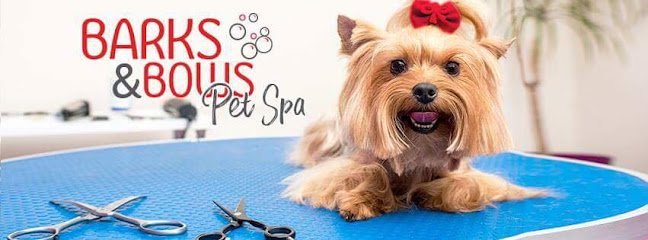 Dog day care in Avon Indiana Barks Bows Pet Spa 1