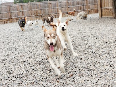 Dog day care in Avon New York Christopher Robins Pet Care 1