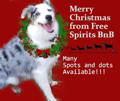 Dog day care in Baldwin Georgia Free Spirit s Doggy Bed N Bone