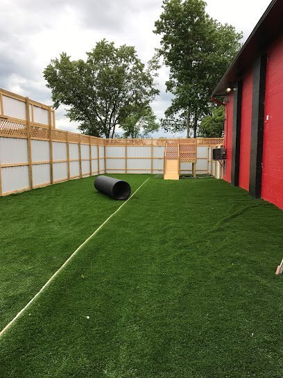 Dog day care in Baldwinsville New York Carm s Dog House Baldwinsville 1