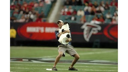 Dog day care in Ball Ground Georgia Atlanta Dogworks