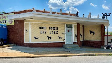 Dog day care in Baltimore Maryland Good Doggie Day Care Inc 1