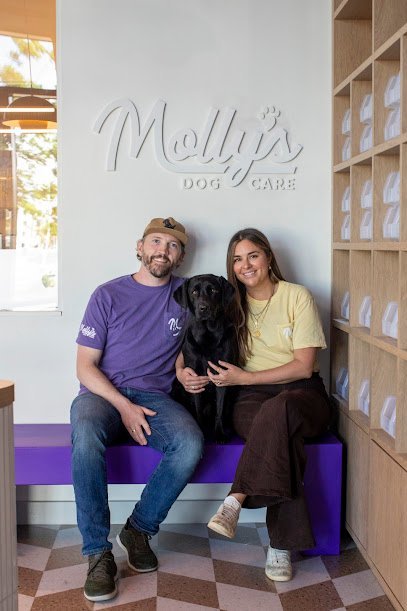 Dog day care in Baltimore Maryland Molly s Dog Care Baltimore Peninsula 1