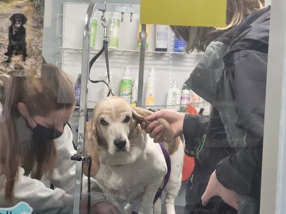 Dog day care in Bangor Maine Green Acres Kennel Shop 1