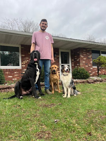 Dog day care in Bangor Michigan Rileys Rowdy Crew 1