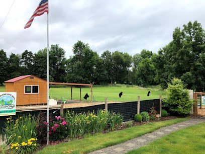 Dog day care in Banks Oregon Creekside Dog Days LLC 1