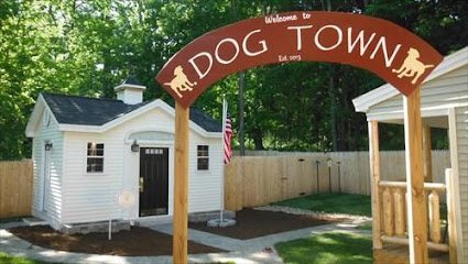 Dog day care in Barrington New Hampshire The Yellow Dog s Barn 1