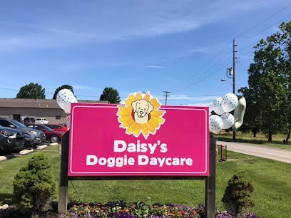 Dog day care in Batesville Indiana Daisy s Doggie Daycare 1