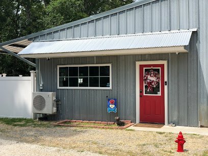 Dog day care in Baton Rouge Louisiana Barking Lots 1