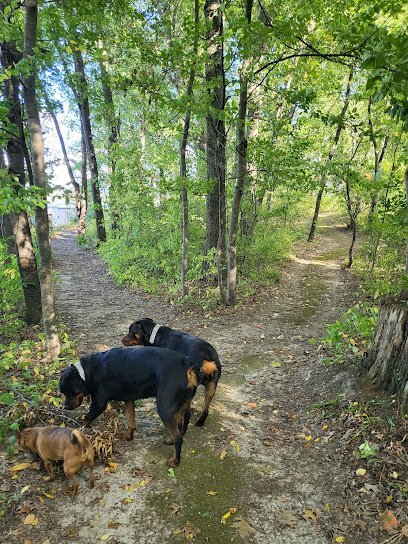 Dog day care in Battle Creek Michigan Camp Sally Dog Daycare 1