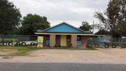 Dog day care in Bay City Texas Beach Dog Academy 1