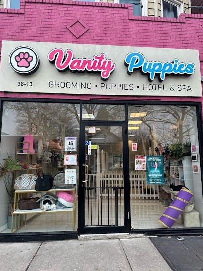 Dog day care in Bayside New York Vanity Pups Boutique 1