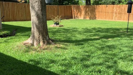 Dog day care in Baytown Texas Kendra s Pet Sitting 1