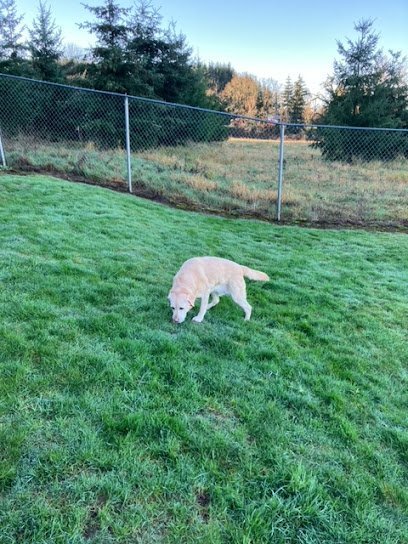 Dog day care in Beaverton Oregon CMK Pet Hotel DaycareCooper Mountain Kennel 1
