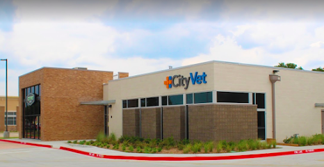 Dog day care in Bedford Texas CityVet Mid Cities 1