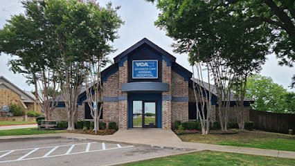 Dog day care in Bedford Texas VCA Advanced Care Animal Hospital 1