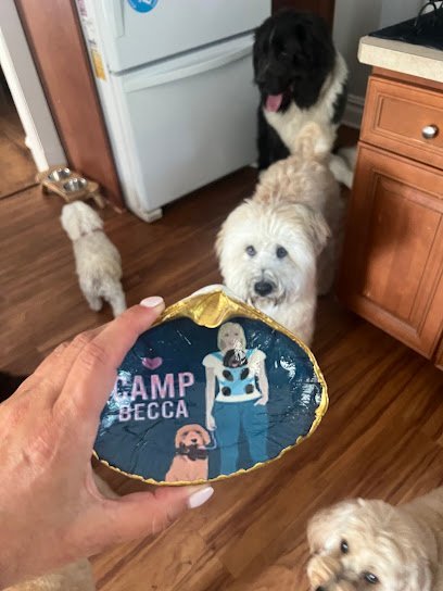 Dog day care in Bedminster New Jersey Camp Becca Dog Walking and Pet Sitting 1