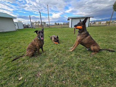 Dog day care in Belgrade Montana Home on the Ranch Dogs LLC 1 1