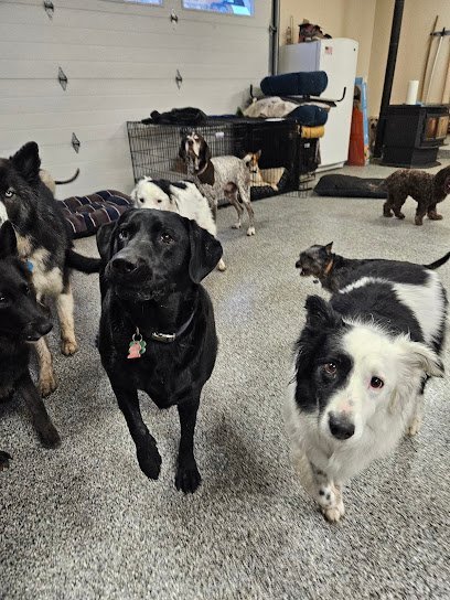 Dog day care in Belgrade Montana Pawliday Inn 1 1