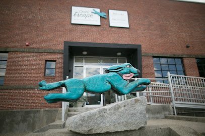 Dog day care in Belmont Massachusetts Crate Escape 1