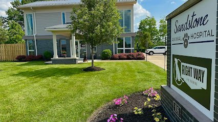 Dog day care in Berea Ohio Right Way K9 Training 1