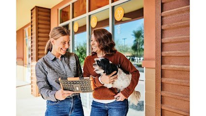 Dog day care in Bethpage New York Dogtopia of Bethpage 1