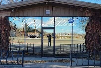 Dog day care in Billings Montana Heights Petlantis 1 1