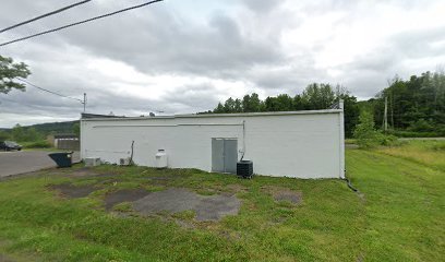 Dog day care in Binghamton New York Danimal s Doggy Daycare 1