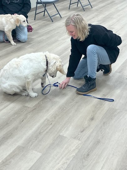 Dog day care in Bismarck North Dakota Bed N Biscuit Ranch 1