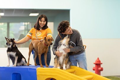 Dog day care in Bloomfield Hills Michigan Dogtopia of Bloomfield 1