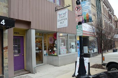 Dog day care in Bloomington Illinois That Dapper Pet 1