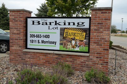 Dog day care in Bloomington Illinois The Barking Lot 1