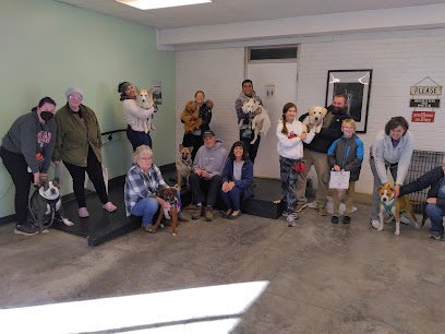 Dog day care in Bloomington Indiana Mad 4 My Dog 1